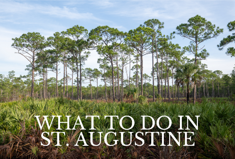 What to Do in St. Augustine