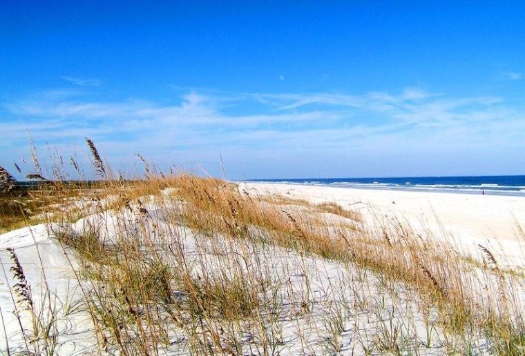 Anastasia State Park